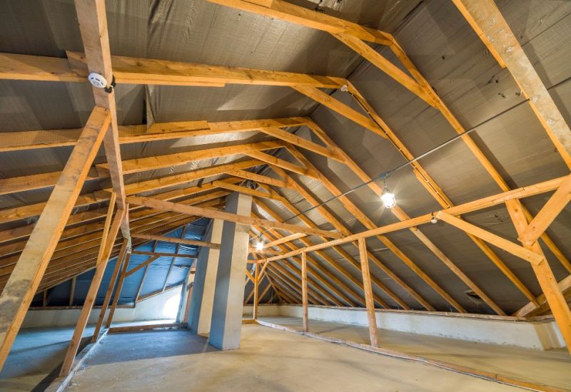 Large empty loft space with exposed orange timber rafters before conversion